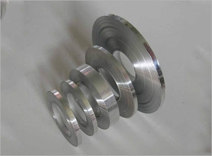 Stainless Steel 310/310S Coils Strips Manufacturer Exporter